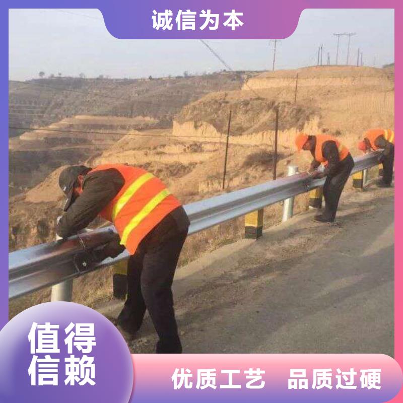 道路护栏种植基地实力大厂家质量安全可靠