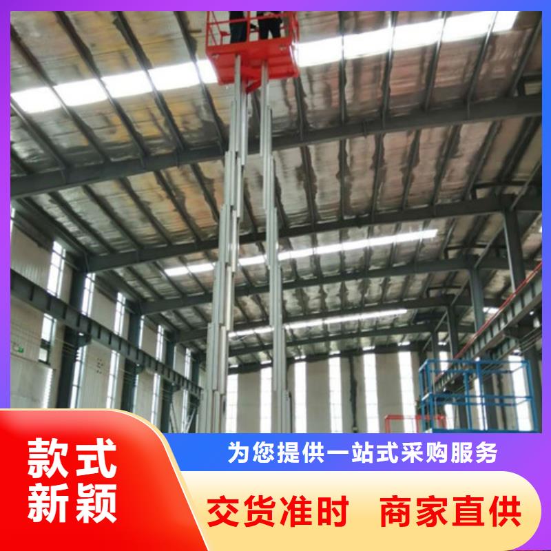 铝合金升降机导轨式液压货梯生产加工优质材料厂家直销