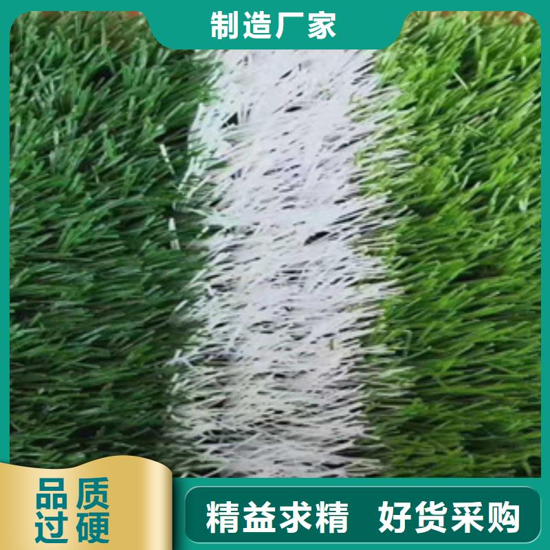 人造草坪塑胶跑道诚信经营现货现发品质保证