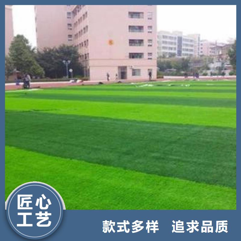 人造草坪_室外塑胶跑道优良工艺甄选好物