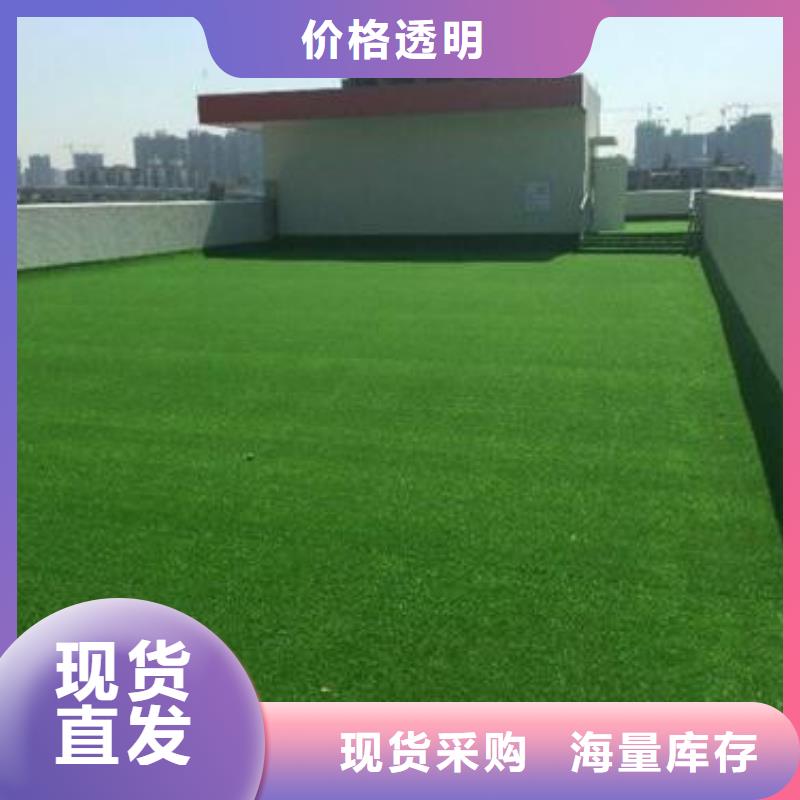 人造草坪-塑胶跑道丰富的行业经验厂家拥有先进的设备