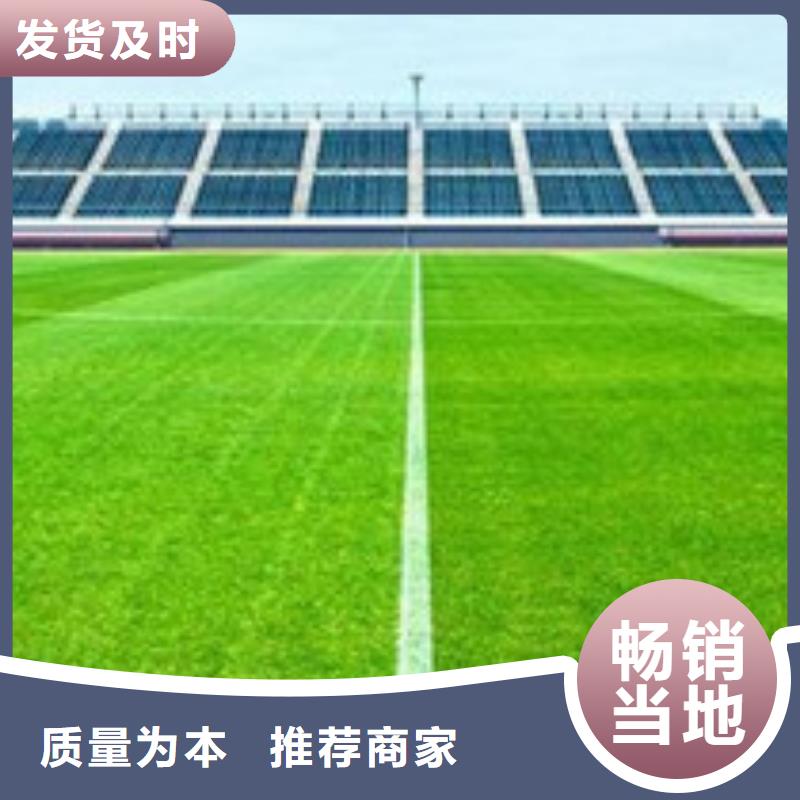 人造草坪_橡胶跑道价格公道合理同城经销商