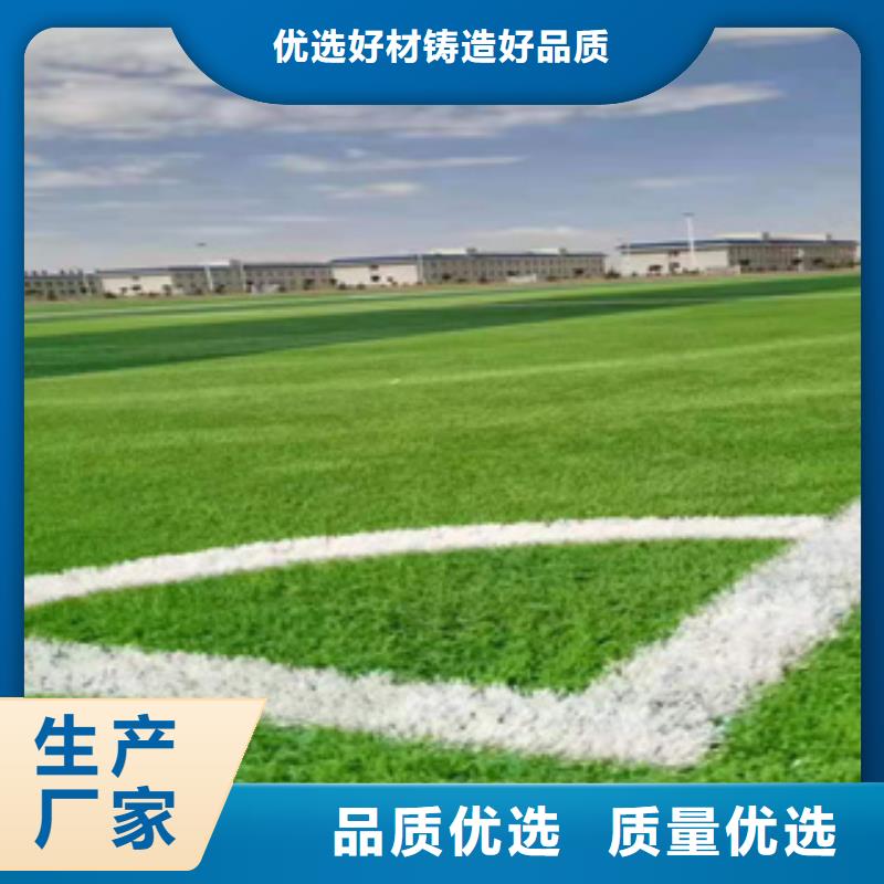 人造草坪同质透心地材一周内发货追求细节品质