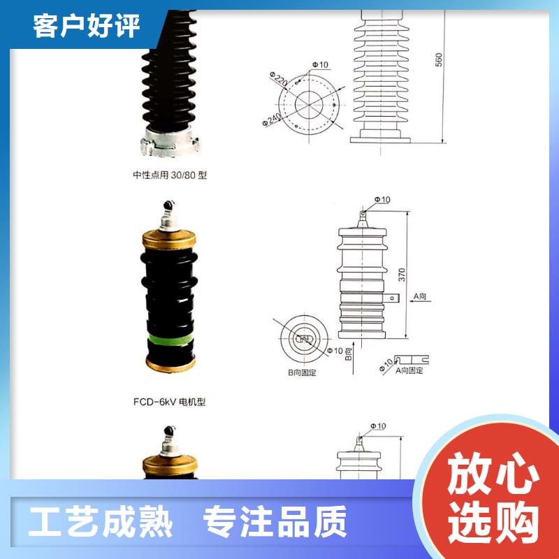 氧化锌避雷器_高压限流熔断器助您降低采购成本品质无所畏惧