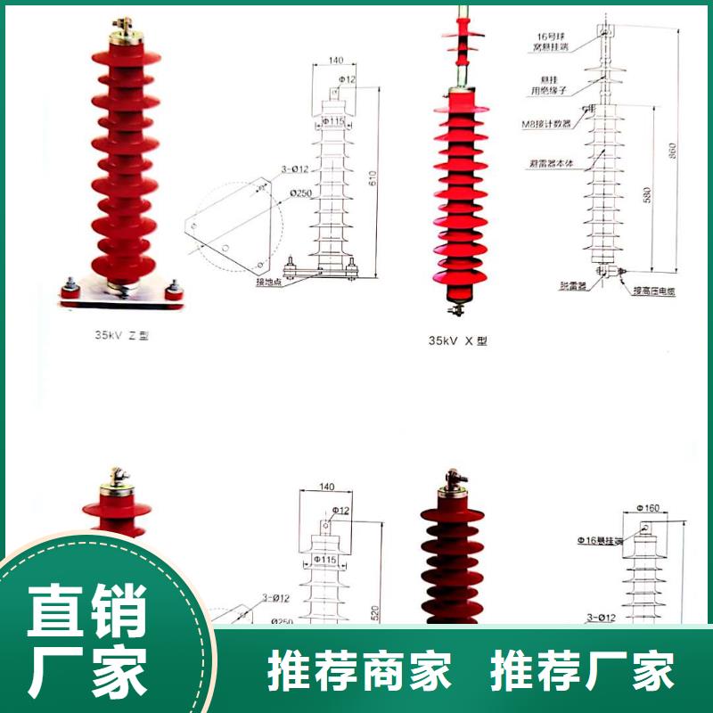 氧化锌避雷器户内高压真空断路器一站式厂家经验丰富质量放心