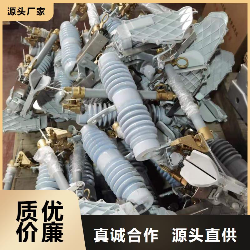 跌落式熔断器-高压氧化锌避雷器精工制作产品优良