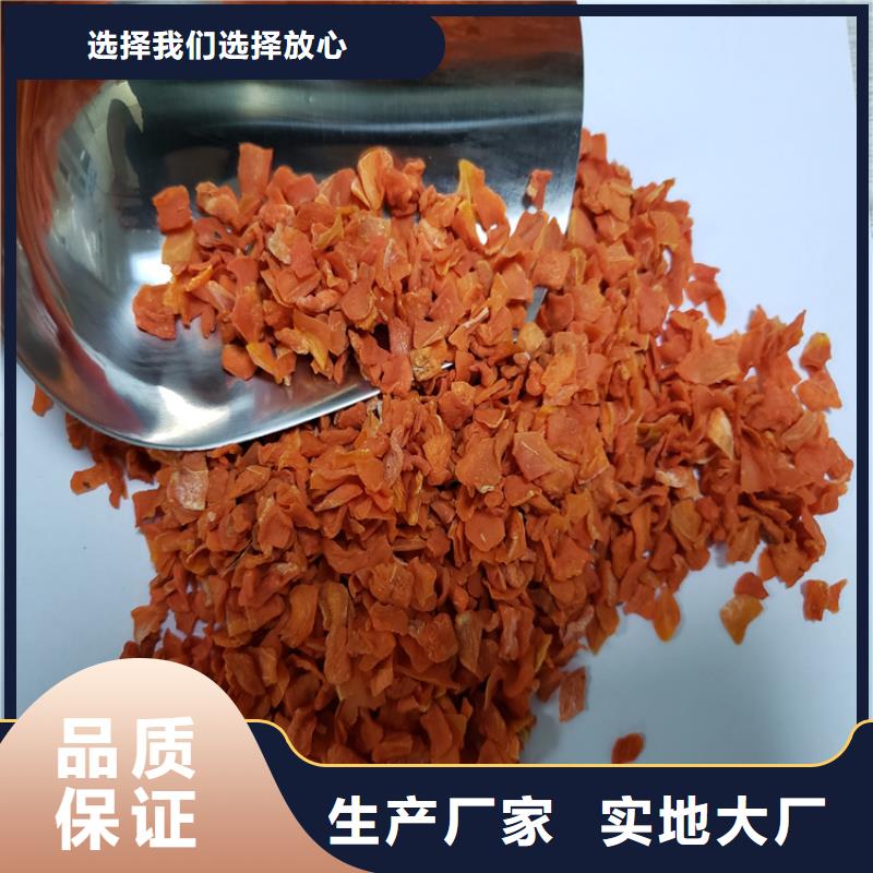 胡萝卜【羽衣甘蓝粉】快捷的物流配送当地生产商