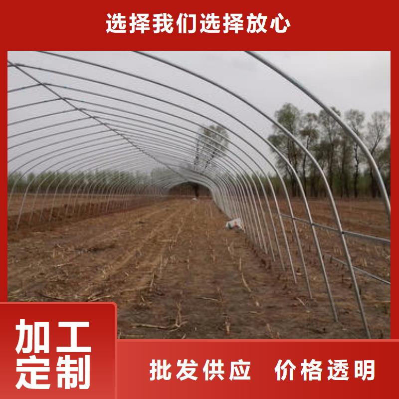 大棚管大库存无缺货危机本地经销商