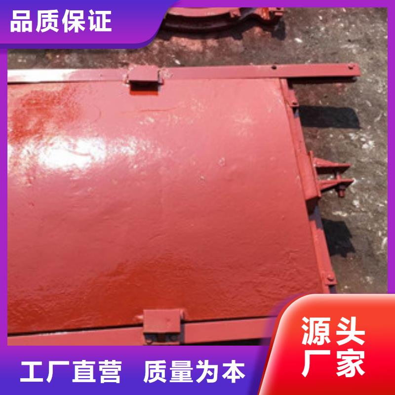 铸铁闸门移动式卷扬式启闭机精工细致打造同城公司