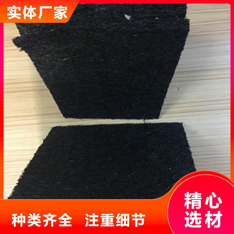 /FJ816396.html