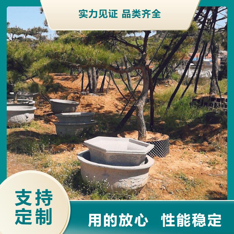 造型松造型池松实体厂家支持定制货源直销