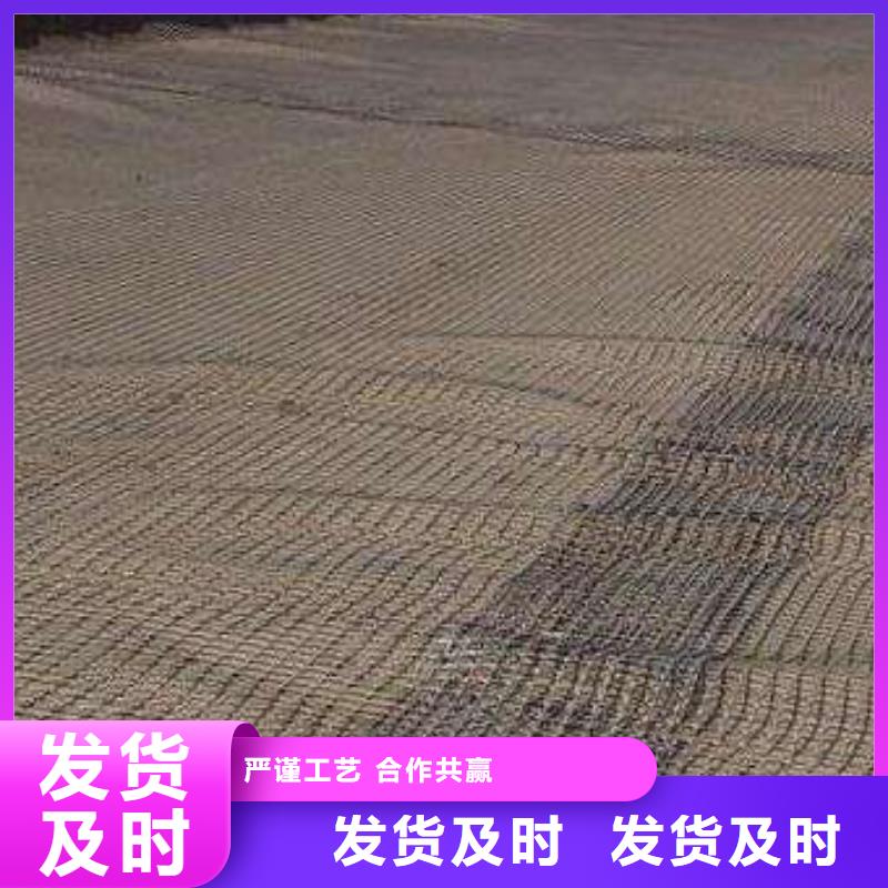 玻纤土工格栅【三维复合排水网】产地厂家直销附近生产商