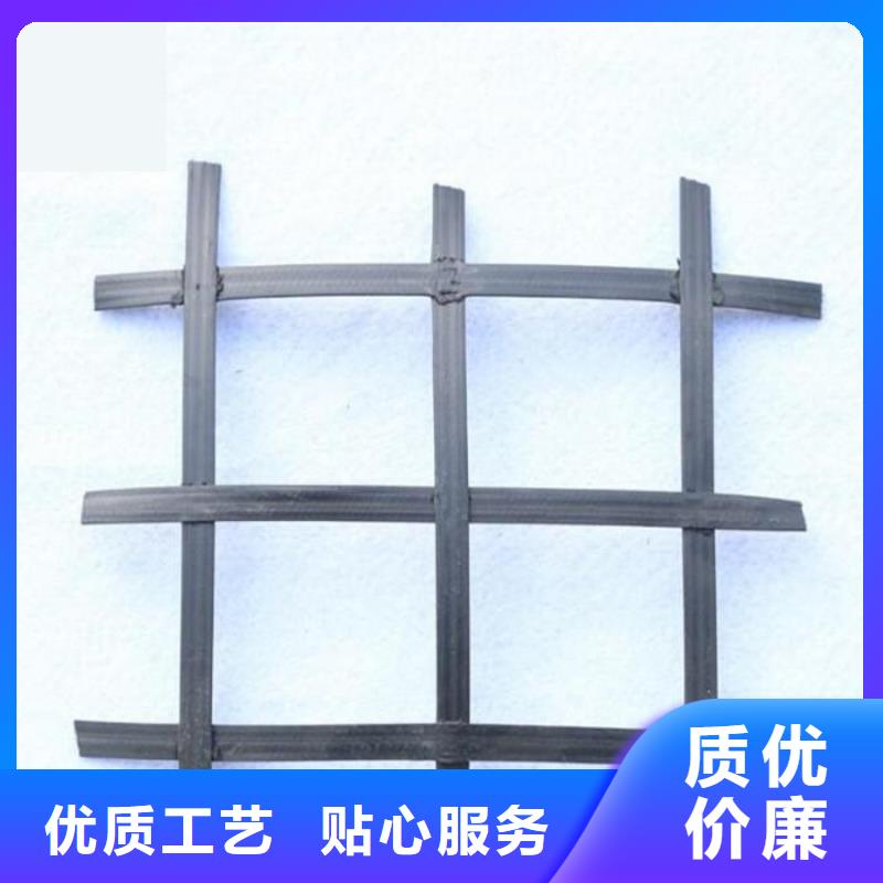 【矿用钢塑复合假顶网】单向塑料土工格栅质检严格放心品质性能稳定