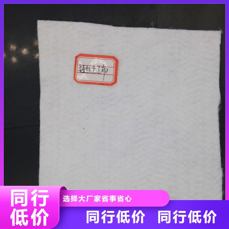 土工布PP焊接土工格栅量大从优厂家工艺先进