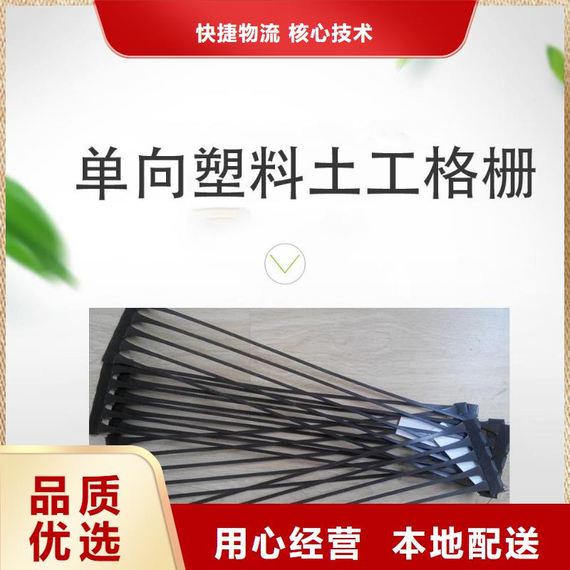 单向塑料土工格栅正规厂家产品细节