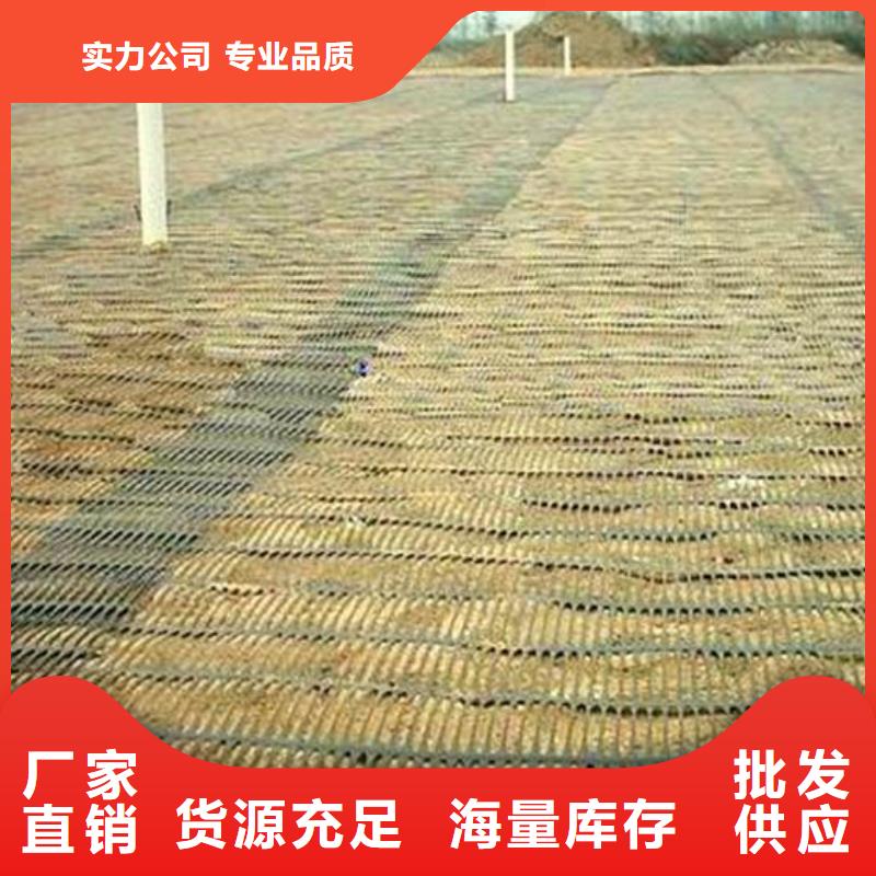 单向塑料土工格栅【HDPE土工膜】买的放心当地制造商