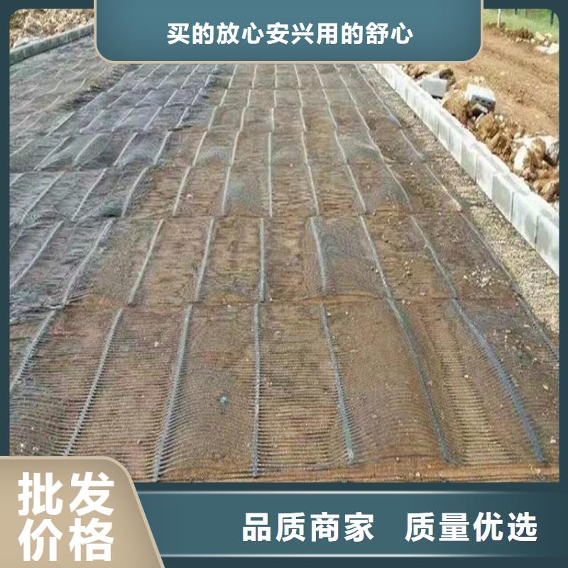 单向塑料土工格栅PVC防水卷材厂家实力大实力厂家