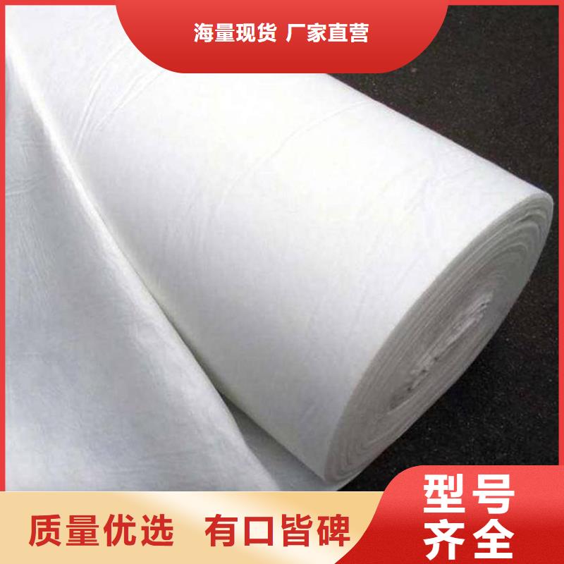 复合土工膜【双向塑料土工格栅】保质保量本地经销商
