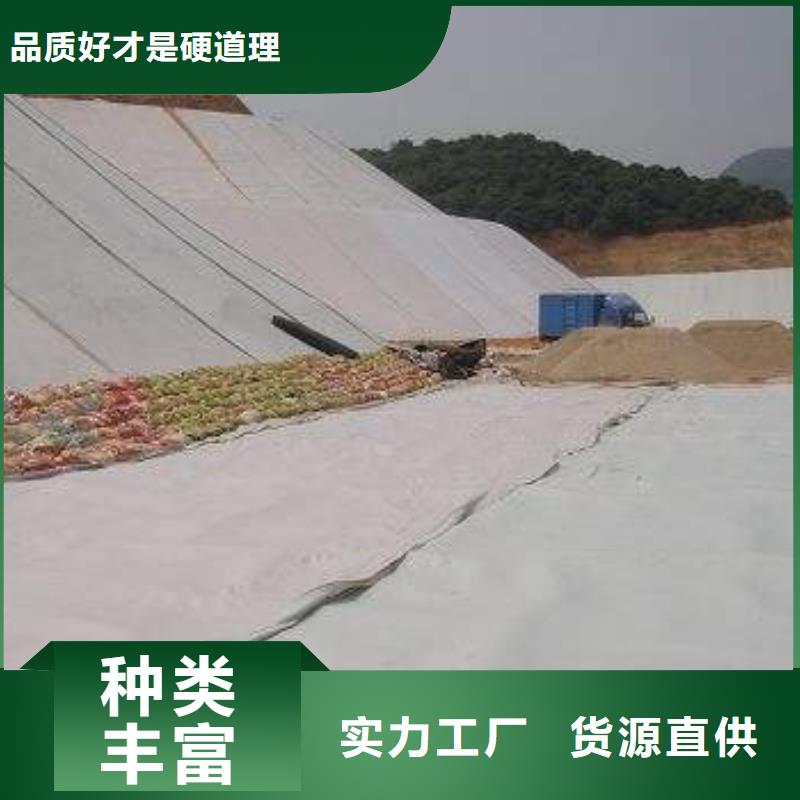 复合土工膜,土工HDPE膜款式多样原料层层筛选