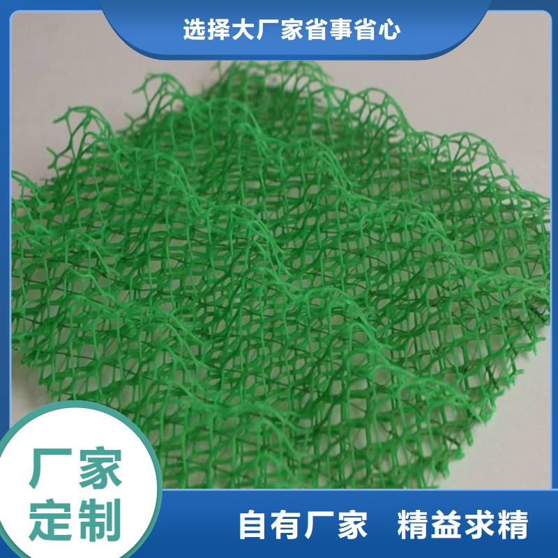 【三维植被网,PP焊接土工格栅诚信厂家】产地源头好货