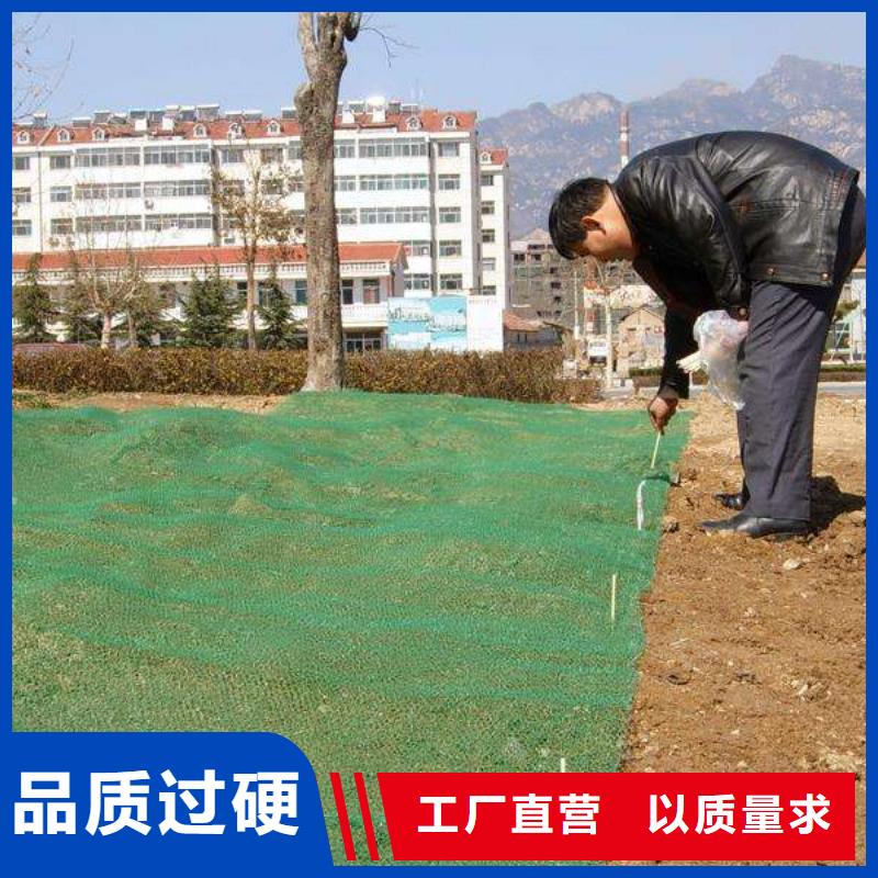 三维植被网_【三维土工网垫】品质优选本地生产商