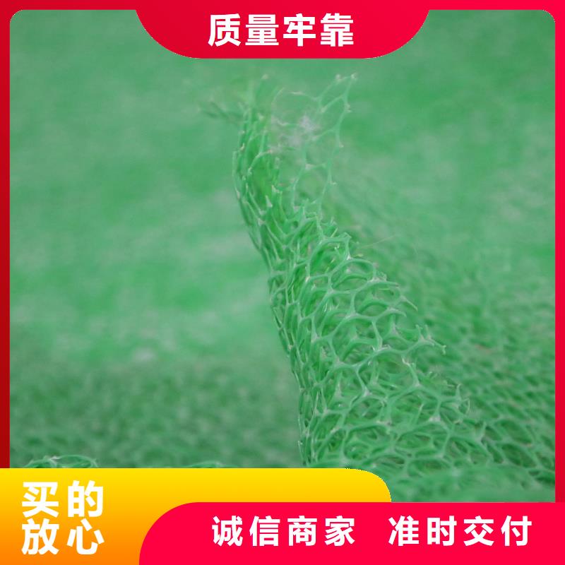 【三维植被网HDPE土工膜厂家货源稳定】当地公司
