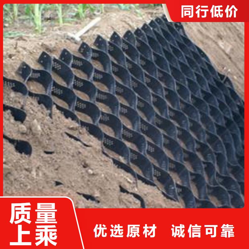 土工格室高质量高信誉保障产品质量