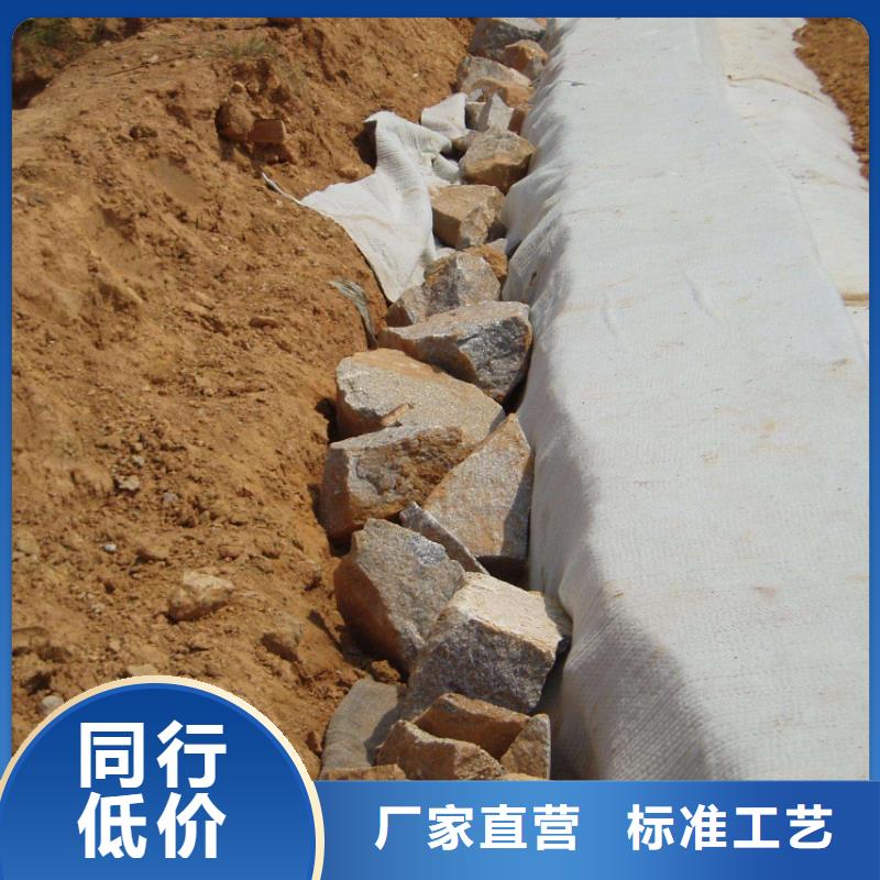 膨润土防水毯防寒布口碑好实力强厂家