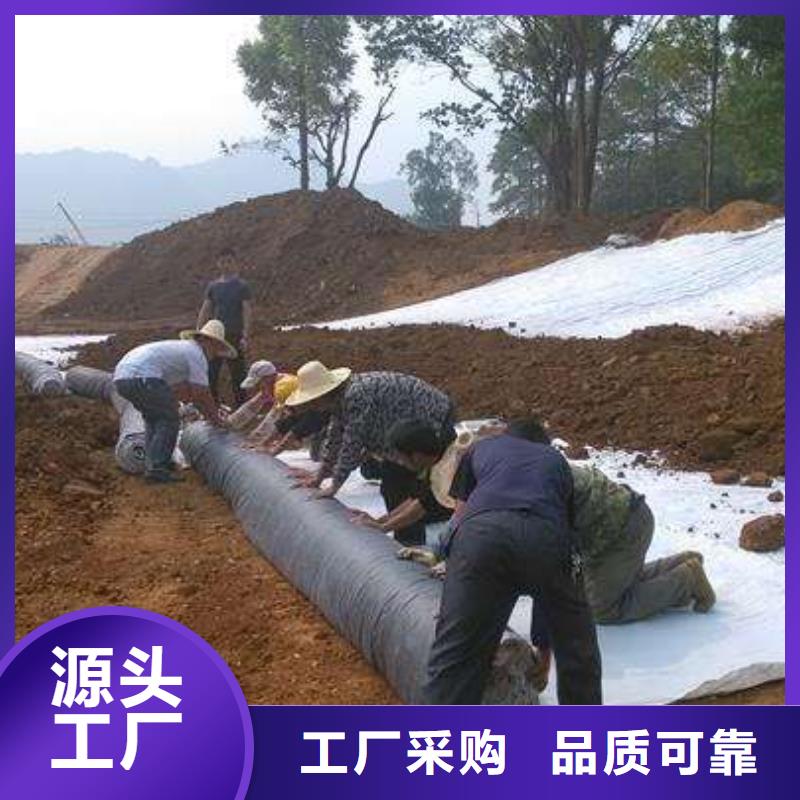 【膨润土防水毯_土工滤网物流配送】当日价格