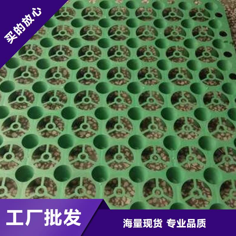 排水板双向塑料土工格栅品质好才是硬道理质量看得见