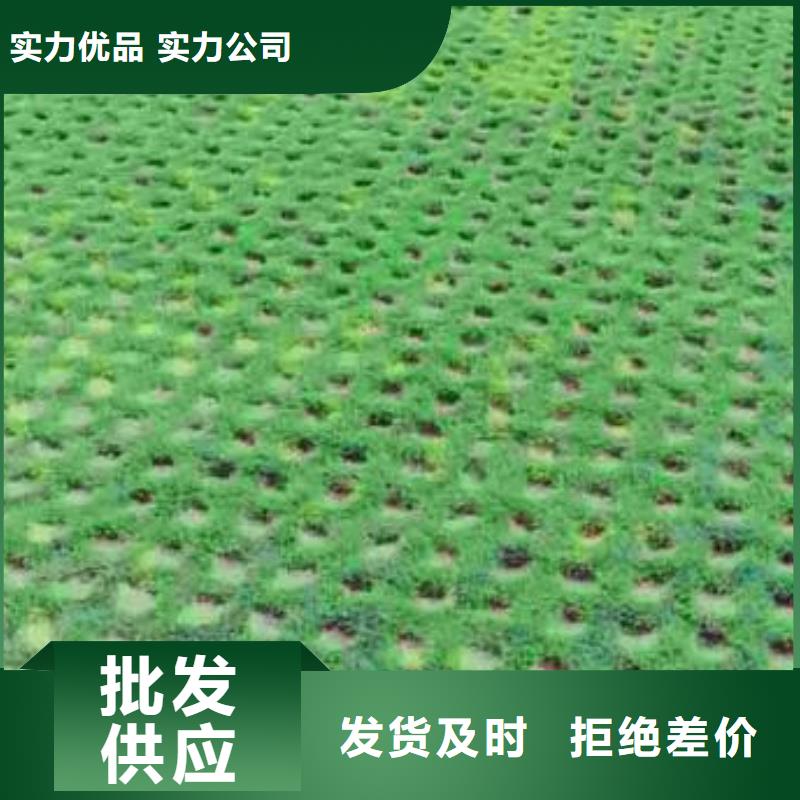 【植草格土工格室专业厂家】敢与同行比服务