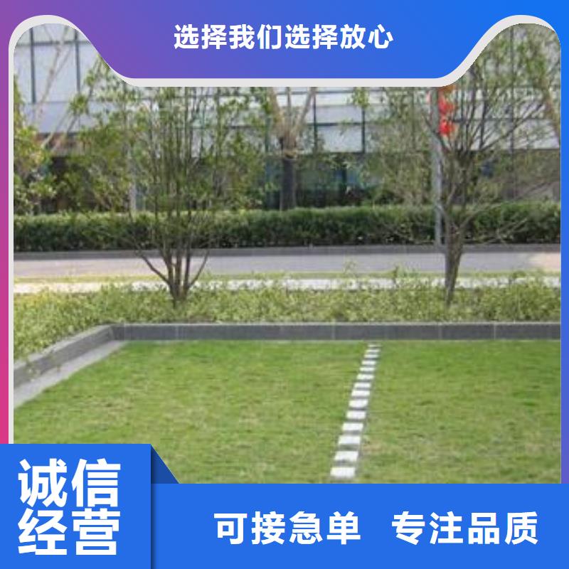 植草格HDPE土工膜保障产品质量实力派厂家