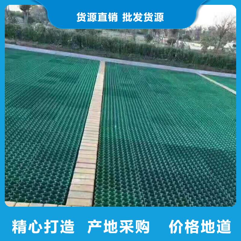 【植草格】双向塑料土工格栅设计合理工程施工案例