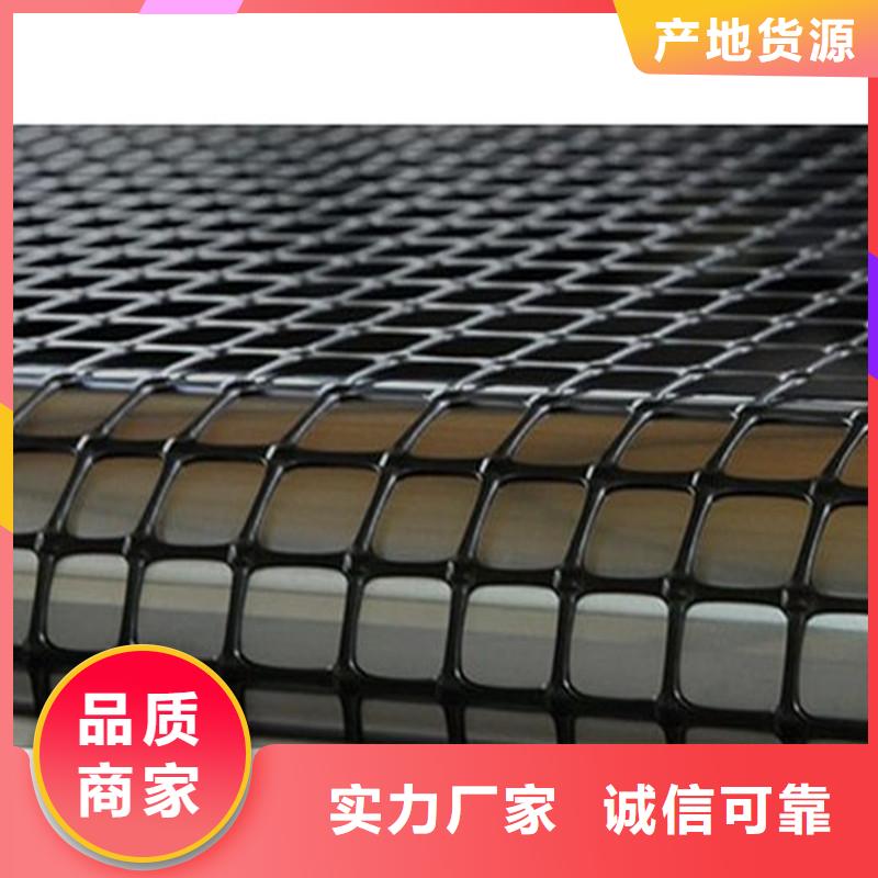 塑料土工格栅【工程布】精心让客户买的放心