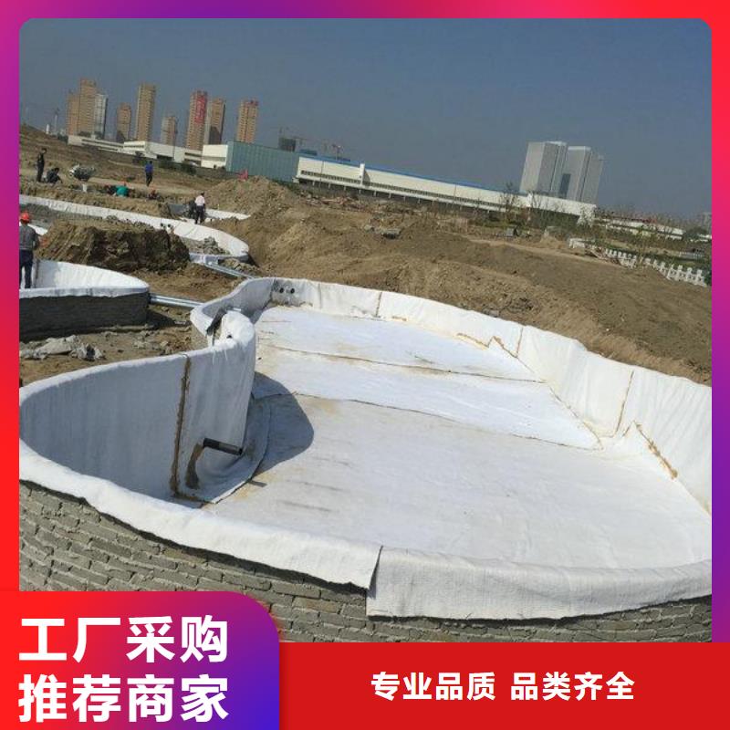 膨润土防水毯塑料土工格栅厂家销售附近生产商