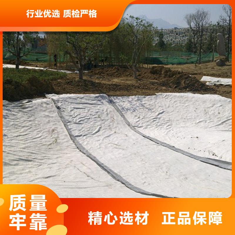 膨润土防水毯-涤纶土工格栅工艺成熟当地公司