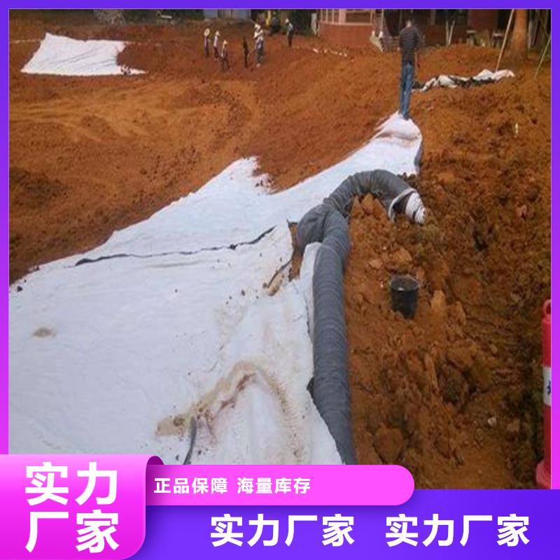 膨润土防水毯-玻纤土工格栅本地厂家值得信赖本地供应商