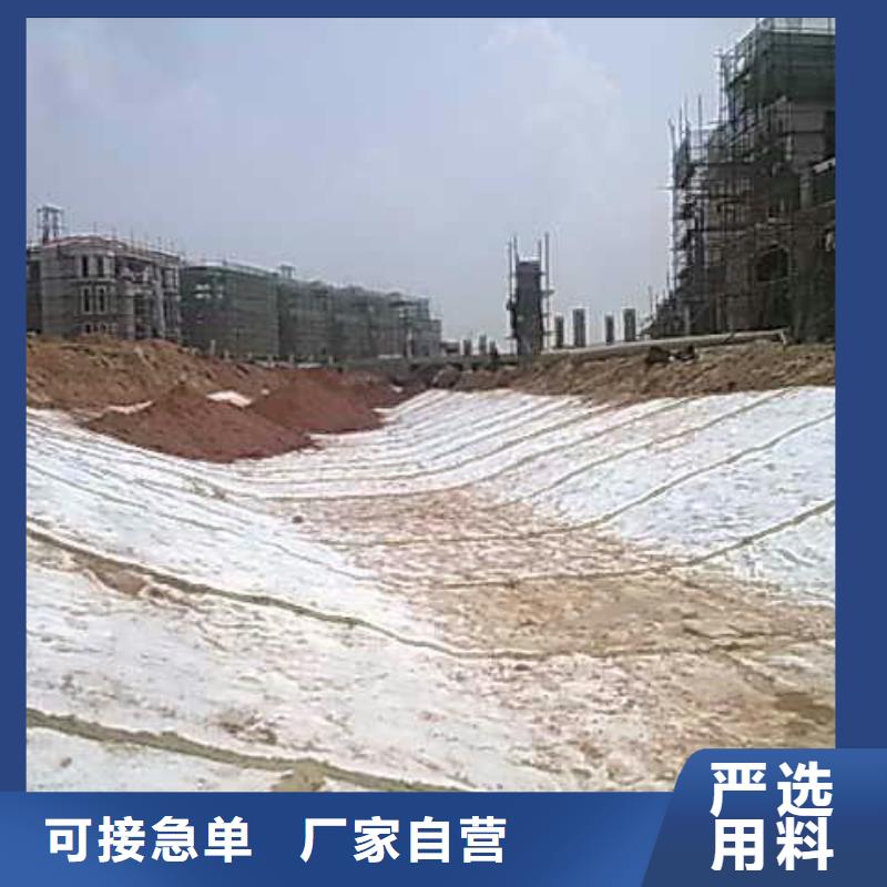 【膨润土防水毯】涤纶土工格栅检验发货厂家十分靠谱