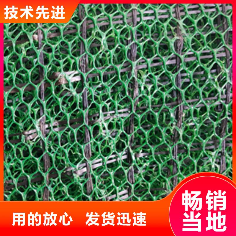 三维植被网复合土工膜定制速度快工期短实力厂家直销