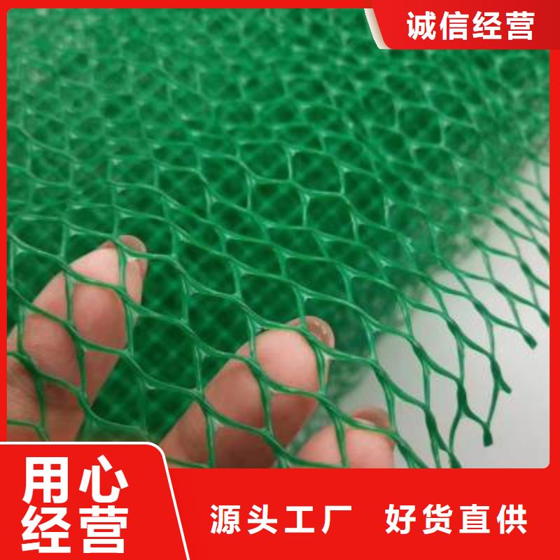 三维植被网【三维土工网垫】品质保障价格合理当地经销商