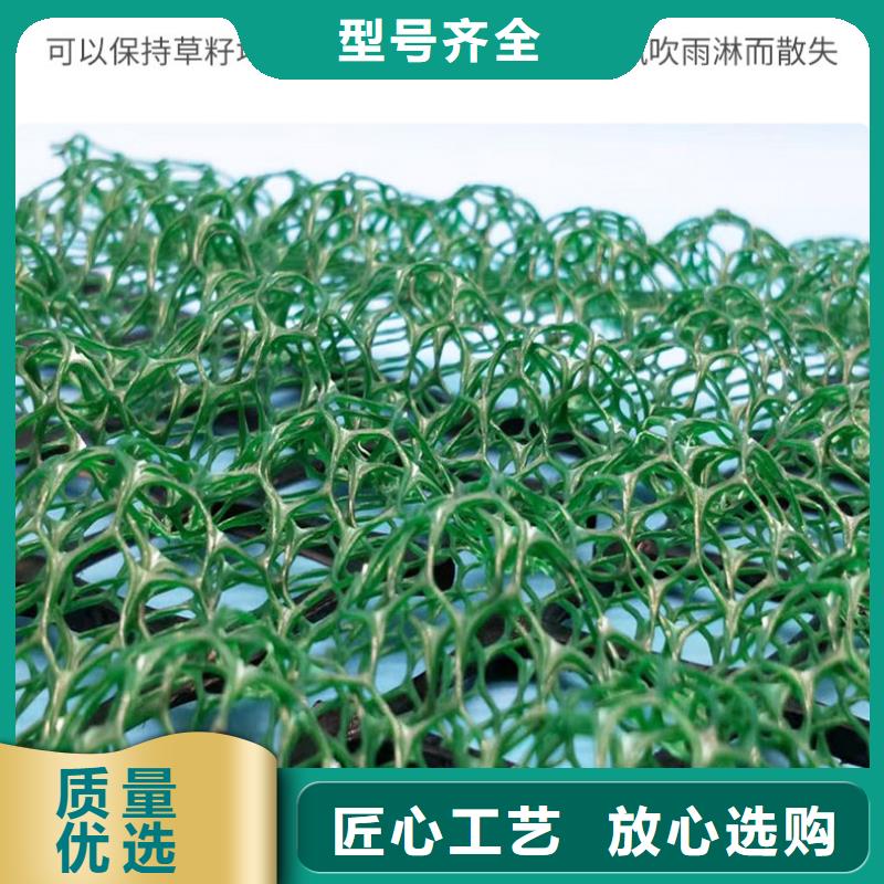 三维植被网_【塑料土工格栅】全新升级品质保障标准工艺