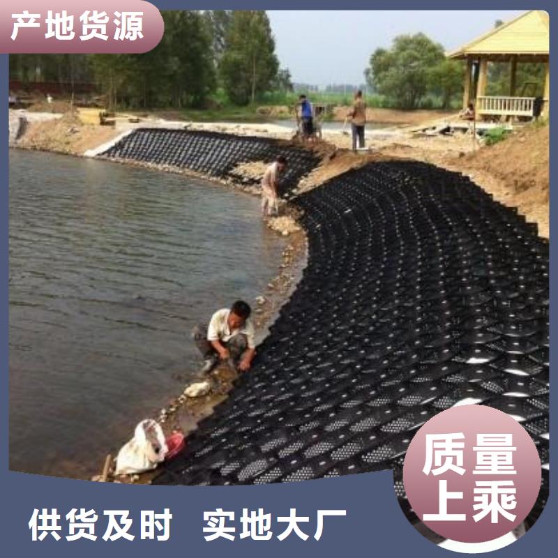 土工格室_【聚乙烯土工膜】采购无忧本地供应商