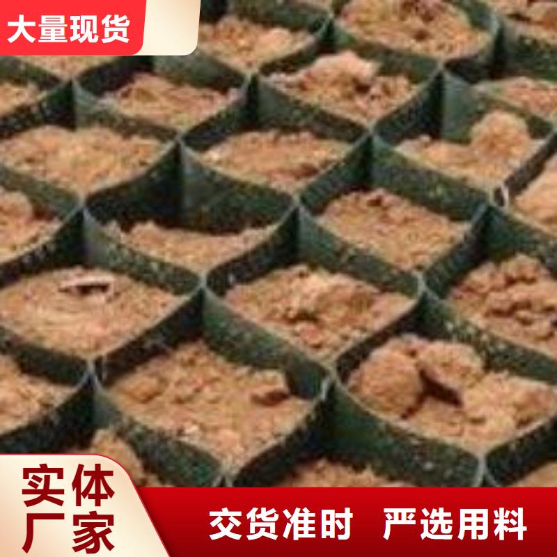 土工格室【【三维土工网垫】】诚信经营现货现发0中间商差价