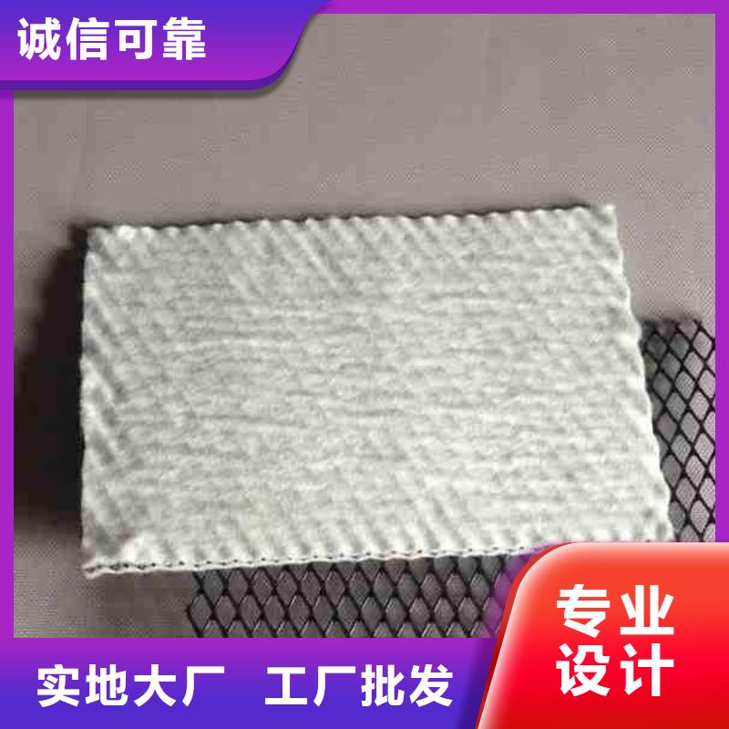 【三维复合排水网】HDPE土工膜匠心制造附近品牌