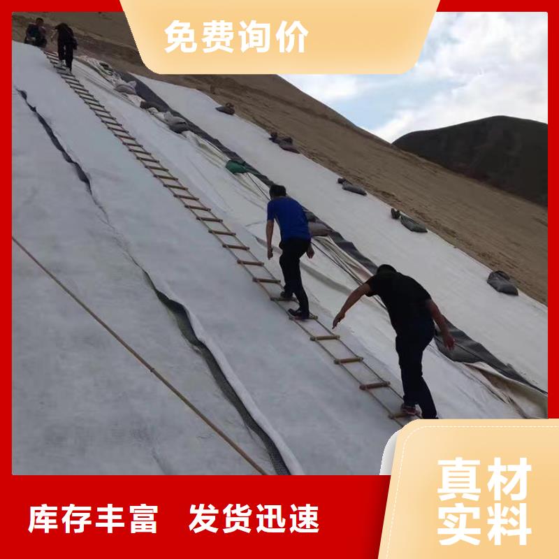 【三维复合排水网】-塑料土工格栅就近发货随心所欲定制