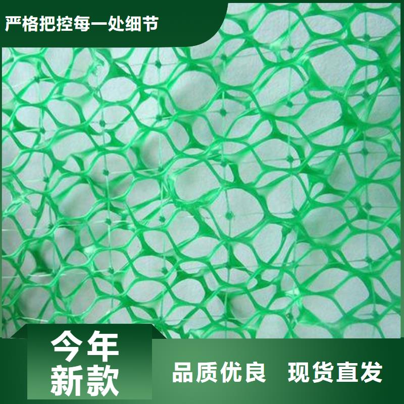 三维植被网土工HDPE膜48小时发货本地厂家值得信赖