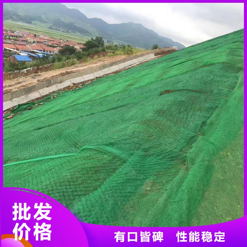 三维植被网_玻纤土工格栅定制销售售后为一体当地厂家