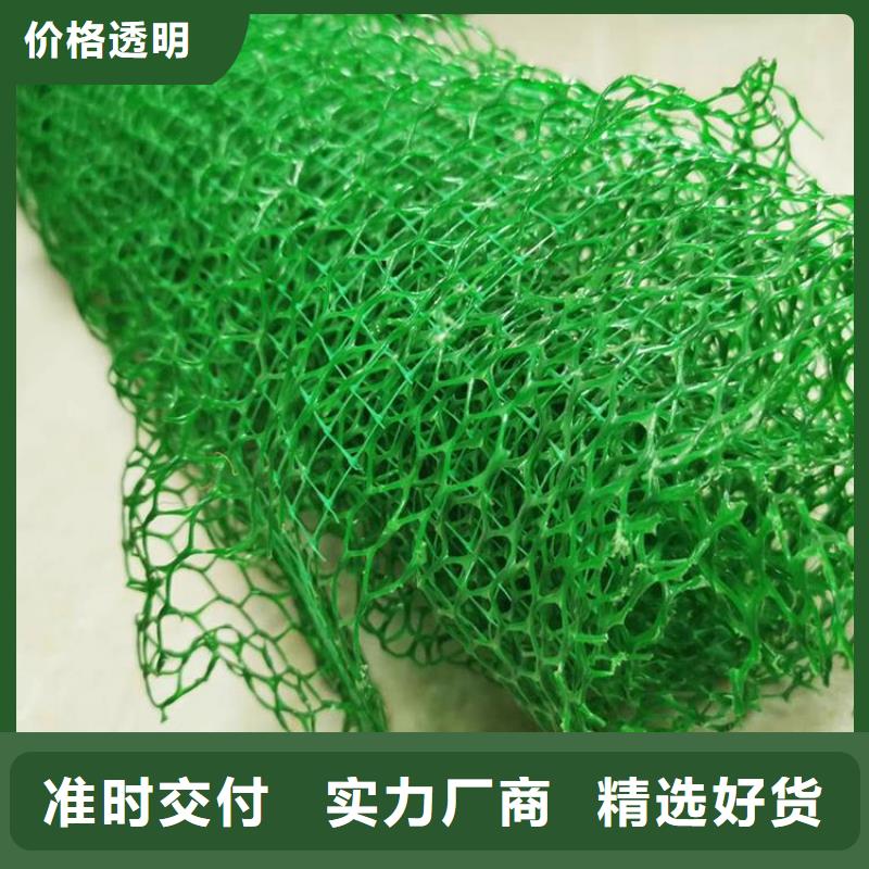 三维植被网-HDPE土工膜懂您所需厂家新品