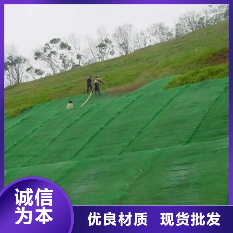 三维植被网,护坡土工网N年生产经验当地制造商
