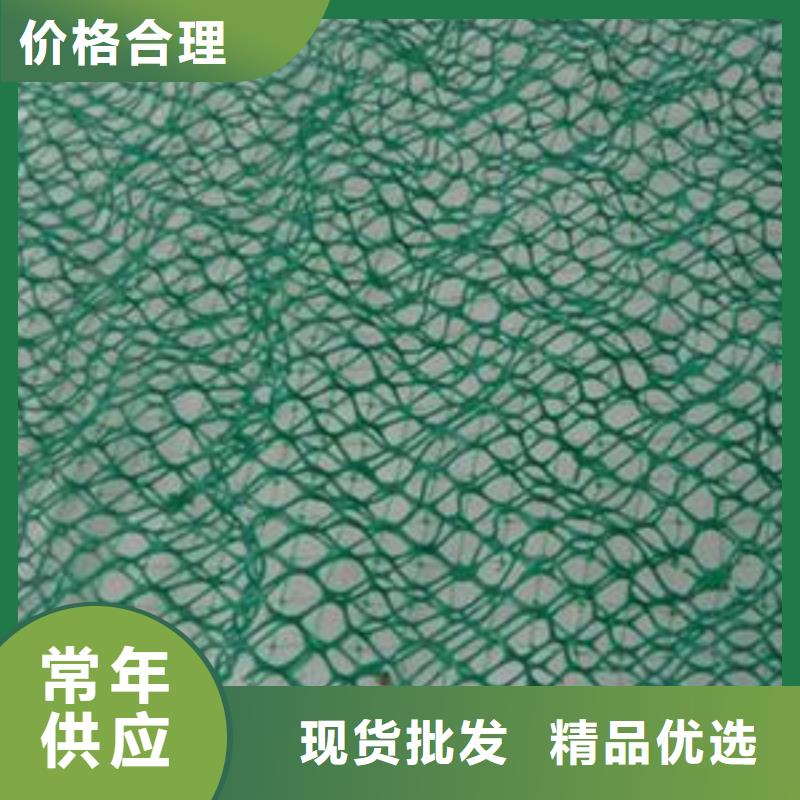 【三维植被网】-单向塑料格栅精工细致打造多种规格供您选择